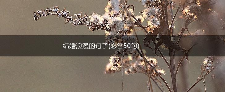 结婚浪漫的句子(必备50句),第1张