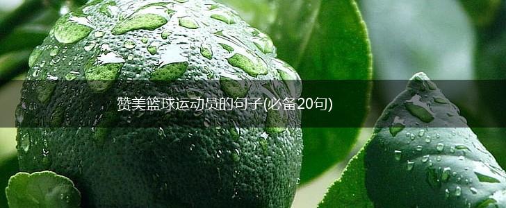 赞美篮球运动员的句子(必备20句),第1张