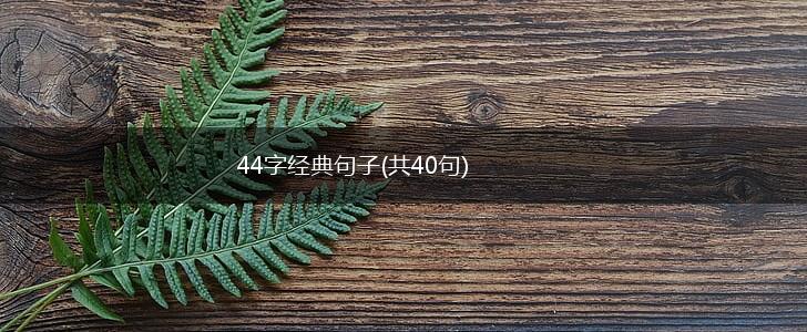 44字经典句子(共40句),第1张