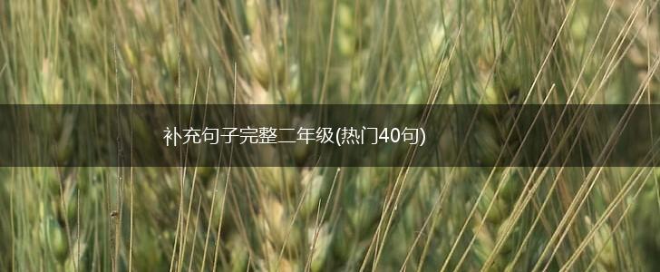 补充句子完整二年级(热门40句),第1张