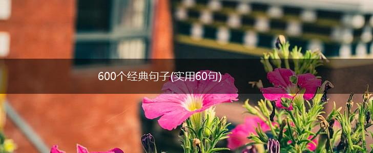 600个经典句子(实用60句),第1张