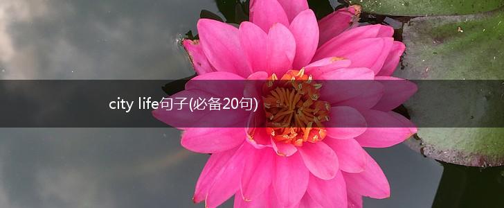 city life句子(必备20句),第1张