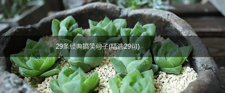 29条经典搞笑句子(精选29句),第1张