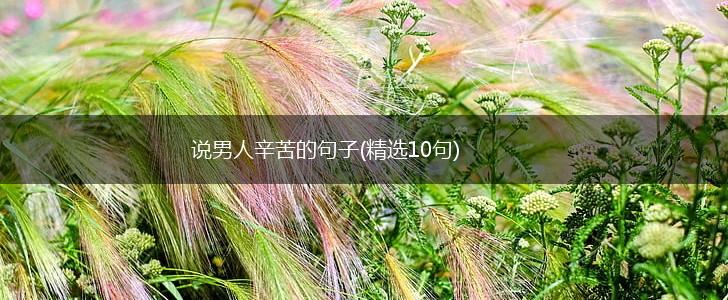 说男人辛苦的句子(精选10句),第1张
