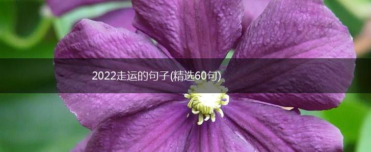 2022走运的句子(精选60句),第1张
