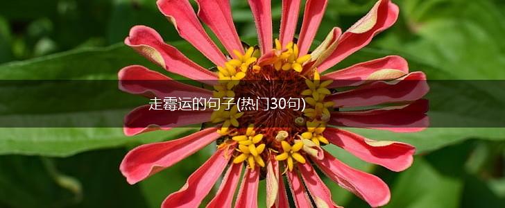 走霉运的句子(热门30句),第1张
