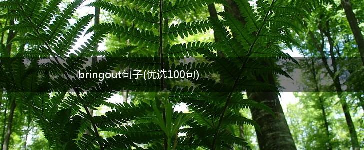 bringout句子(优选100句),第1张