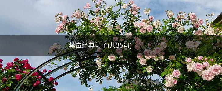 禁毒经典句子(共35句),第1张