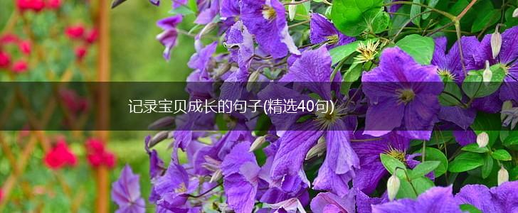 记录宝贝成长的句子(精选40句),第1张