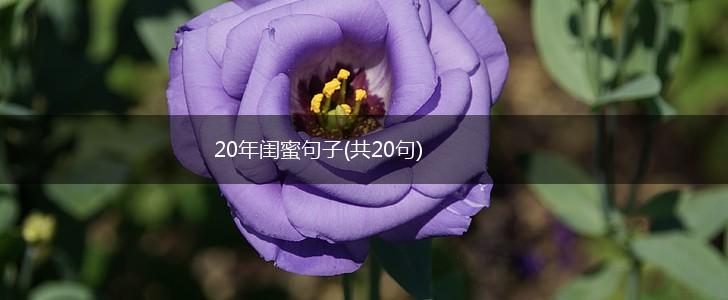 20年闺蜜句子(共20句),第1张