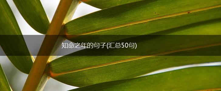 知命之年的句子(汇总50句),第1张