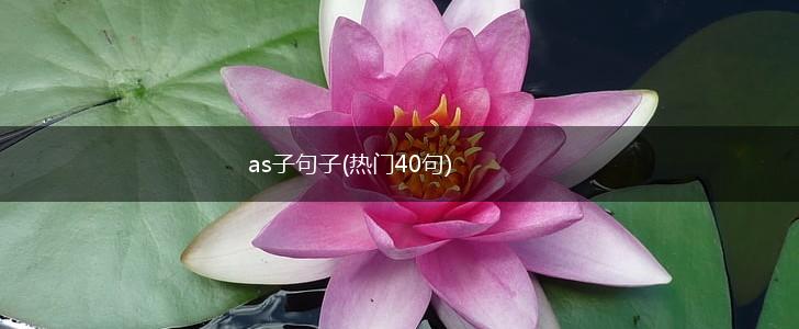 as子句子(热门40句),第1张