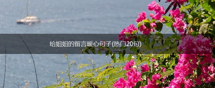 给姐姐的留言暖心句子(热门20句),第1张
