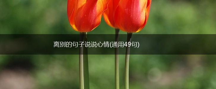 离别的句子说说心情(通用49句),第1张