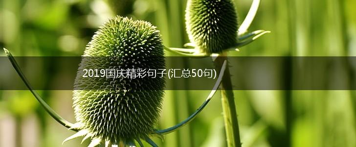 2019国庆精彩句子(汇总50句),第1张
