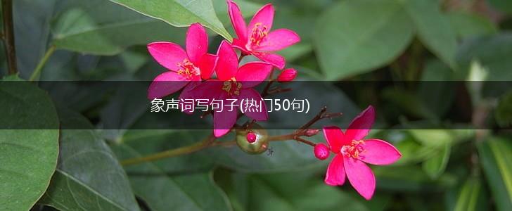 象声词写句子(热门50句),第1张