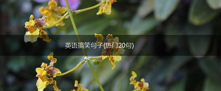 英语搞笑句子(热门20句),第1张