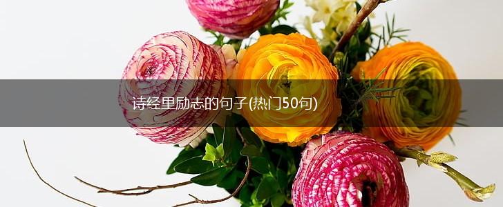 诗经里励志的句子(热门50句),第1张
