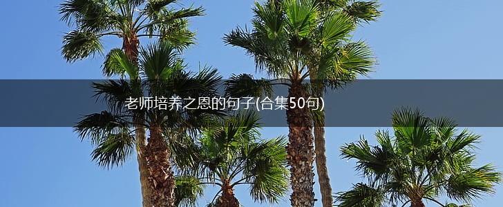 老师培养之恩的句子(合集50句),第1张