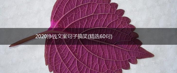 2020挣钱文案句子搞笑(精选60句),第1张