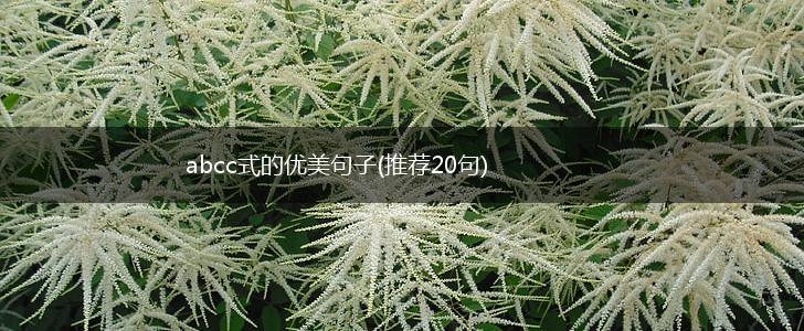 abcc式的优美句子(推荐20句),第1张