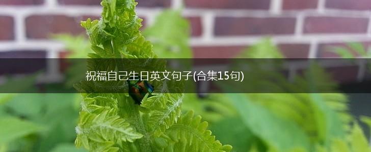 祝福自己生日英文句子(合集15句),第1张