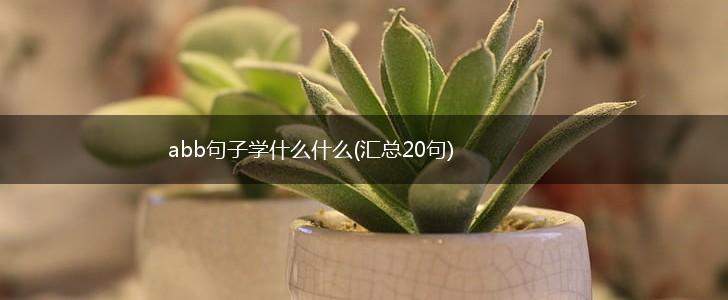 abb句子学什么什么(汇总20句),第1张