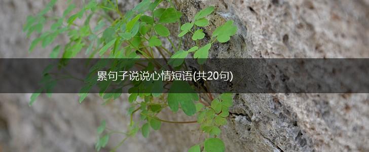 累句子说说心情短语(共20句),第1张