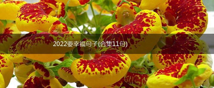 2022要幸福句子(合集11句),第1张
