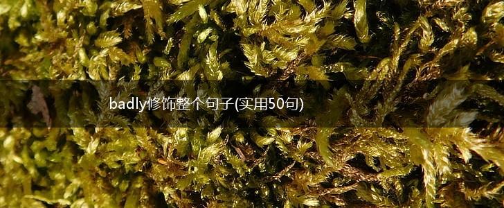 badly修饰整个句子(实用50句),第1张