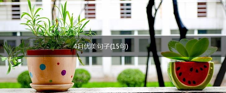 4月优美句子(15句),第1张