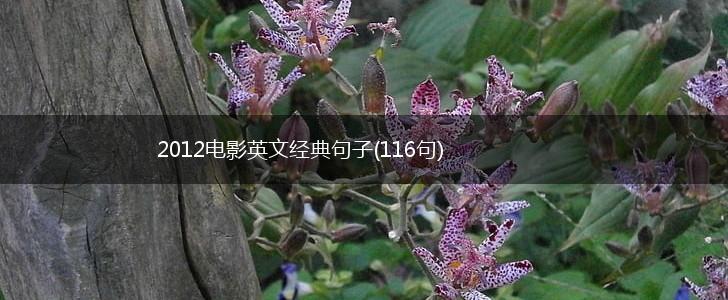 2012电影英文经典句子(116句),第1张