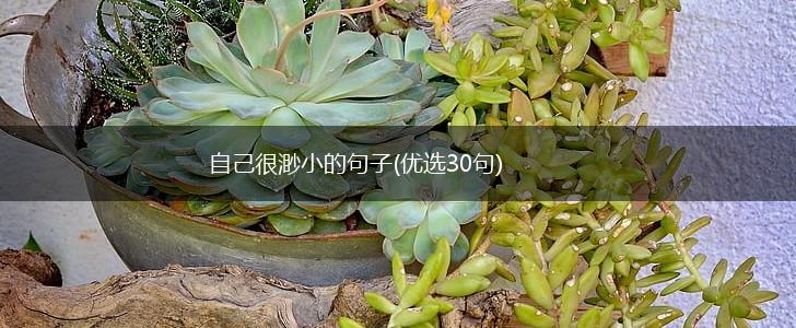 自己很渺小的句子(优选30句),第1张