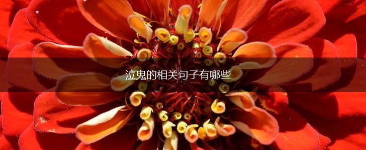 泣鬼的相关句子有哪些,第1张