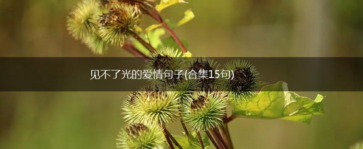 见不了光的爱情句子(合集15句),第1张