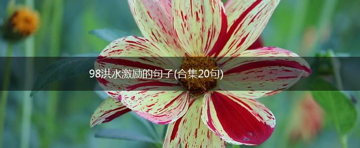 98洪水激励的句子(合集20句),第1张