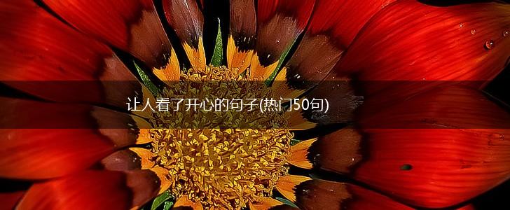 让人看了开心的句子(热门50句),第1张