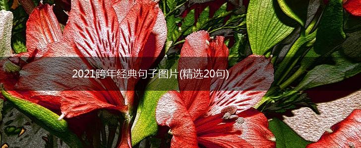 2021跨年经典句子图片(精选20句),第1张