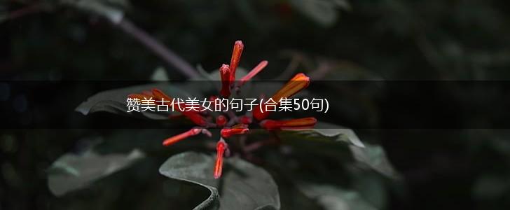 赞美古代美女的句子(合集50句),第1张
