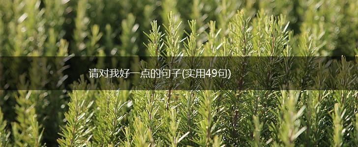 请对我好一点的句子(实用49句),第1张