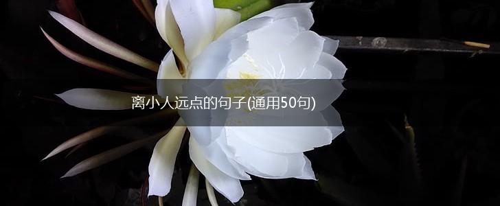 离小人远点的句子(通用50句),第1张