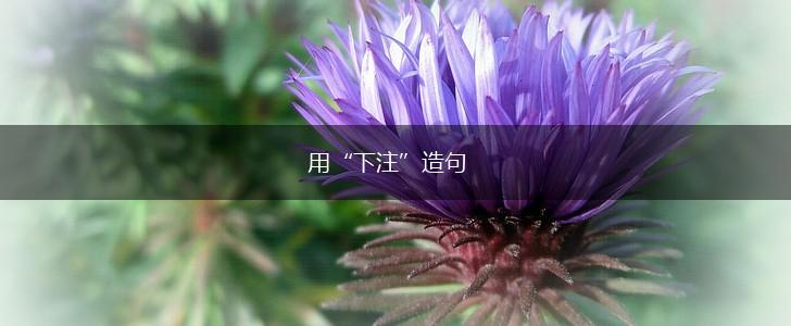 用“下注”造句,第1张
