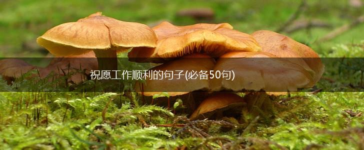 祝愿工作顺利的句子(必备50句),第1张