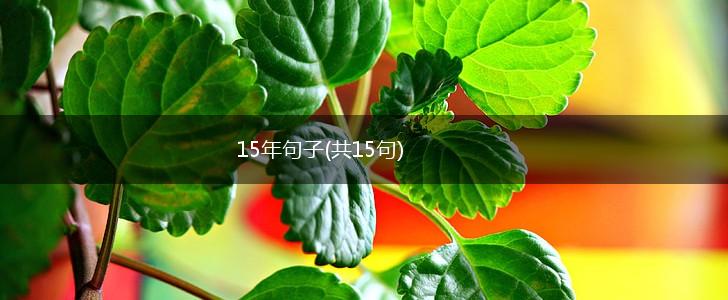 15年句子(共15句),第1张