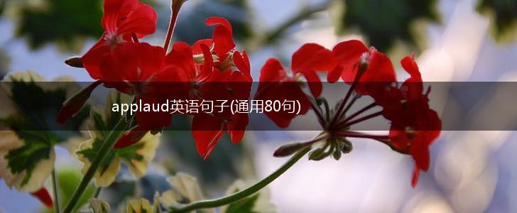 applaud英语句子(通用80句),第1张