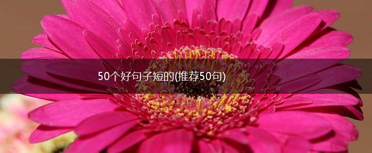 50个好句子短的(推荐50句),第1张