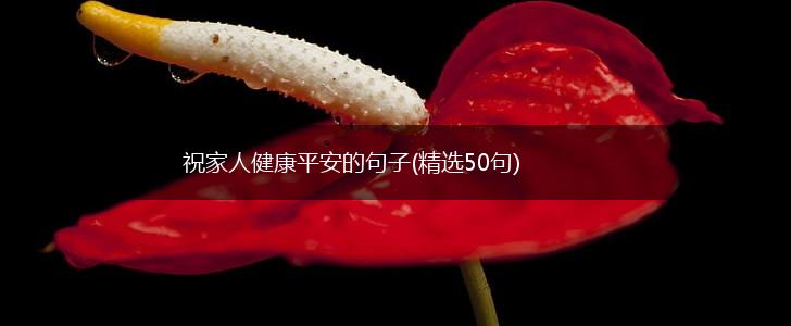 祝家人健康平安的句子(精选50句),第1张