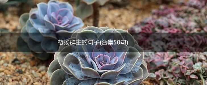赞扬群主的句子(合集50句),第1张