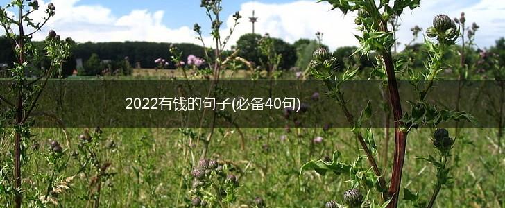 2022有钱的句子(必备40句),第1张