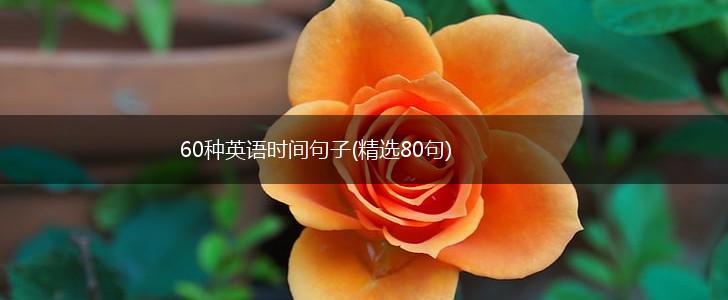 60种英语时间句子(精选80句),第1张